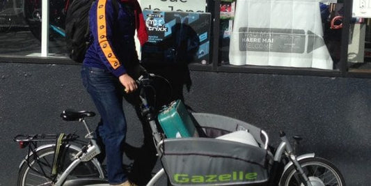 (edit – Found!!) Stolen! Gazelle Cabby with eZee kit. Maurice’s personal bike in Auckland (October 2018)