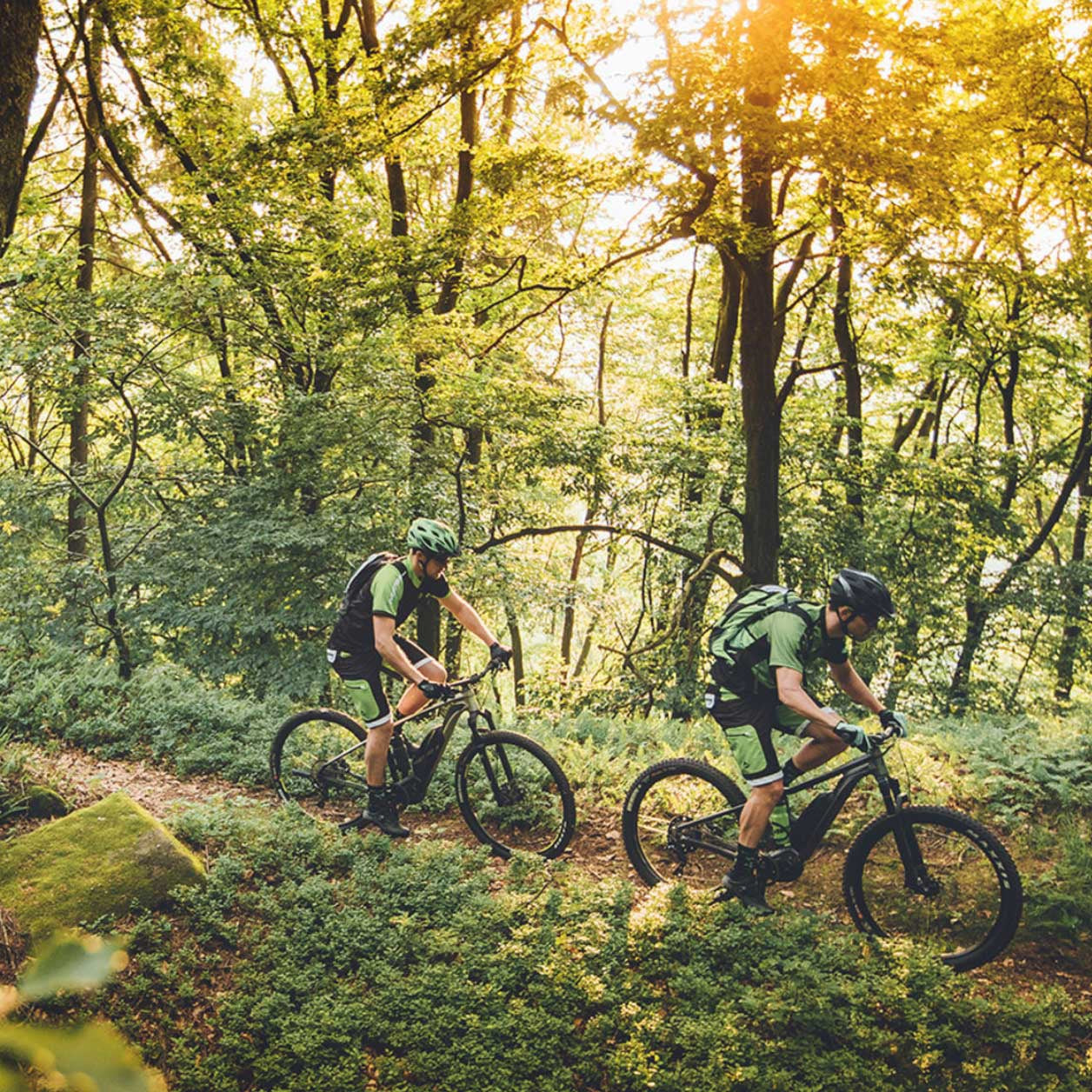 Merida eBig Seven 300 SE