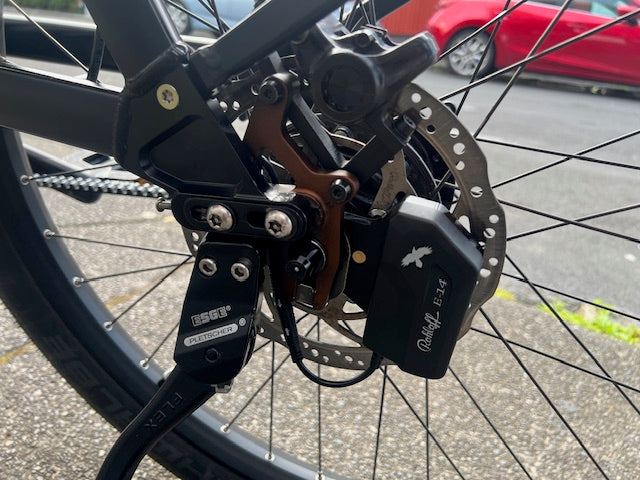 Riese and Muller Supercharger rohloff HS 2019, 49cm Silver - used