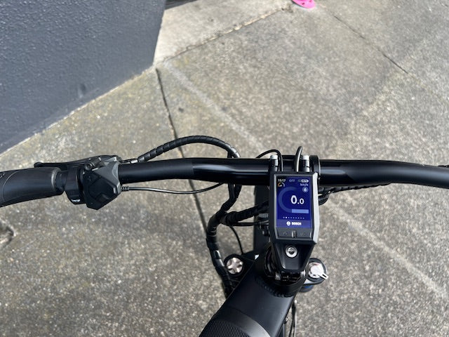 Riese and Muller Supercharger rohloff HS 2019, 49cm Silver - used