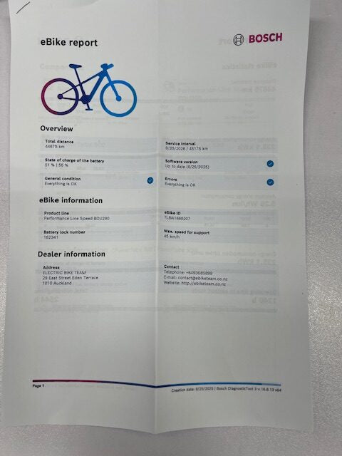 Riese and Muller Supercharger rohloff HS 2019, 49cm Silver - used