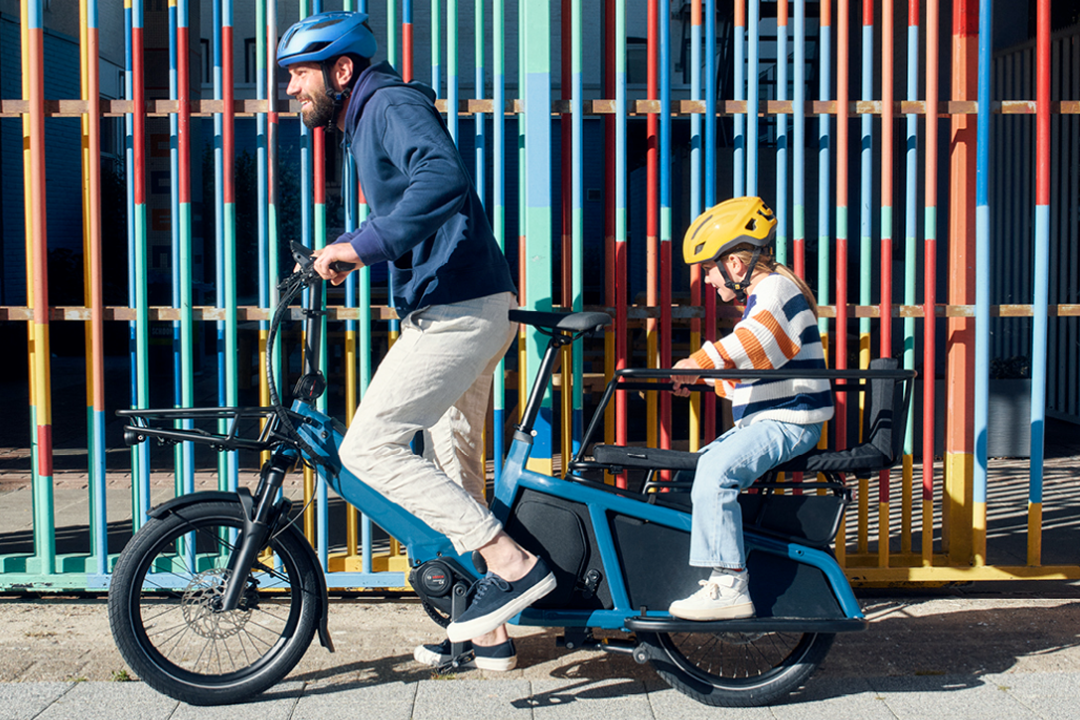 Riese and Muller Multitinker Vario