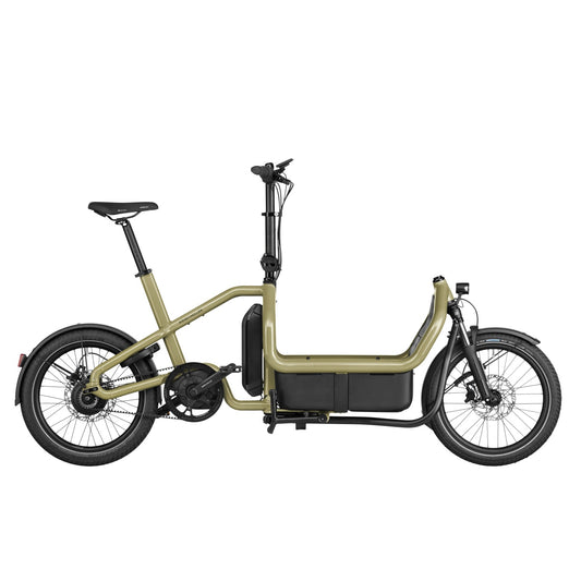 Riese and Muller Carrie City -Anise - 725Wh - Flex Box, child seat and cover