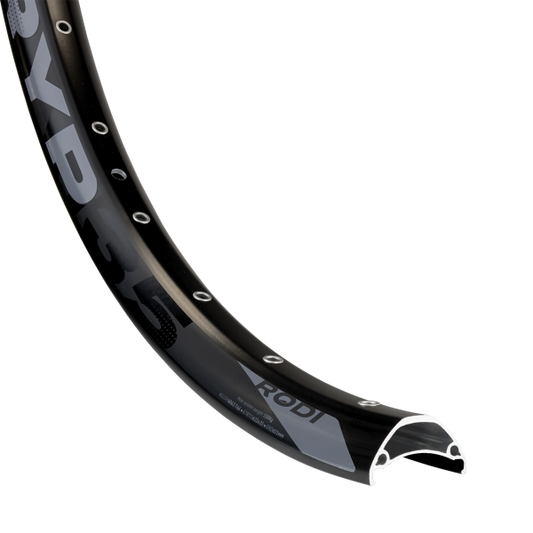 Riese & Muller Rim 27.5", Rodi Tryp 36L AV Disc