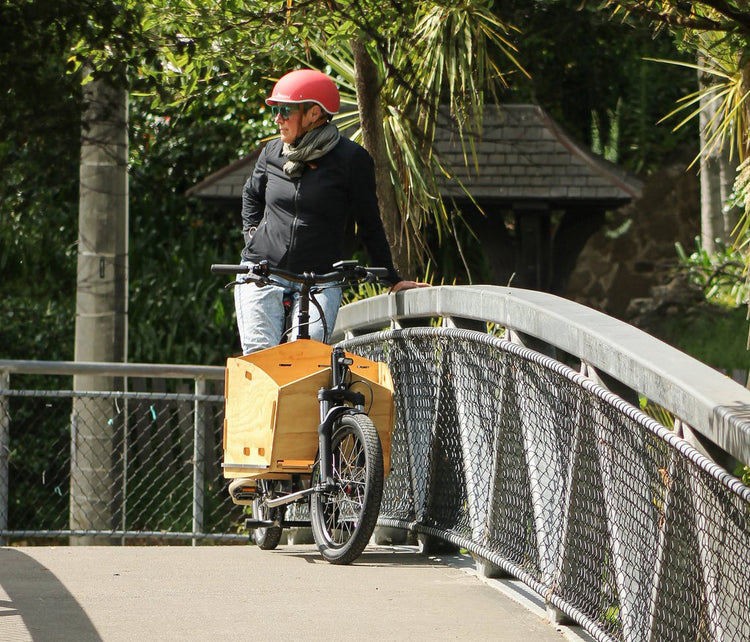 Cargo Bike World electric Cargo Bikes