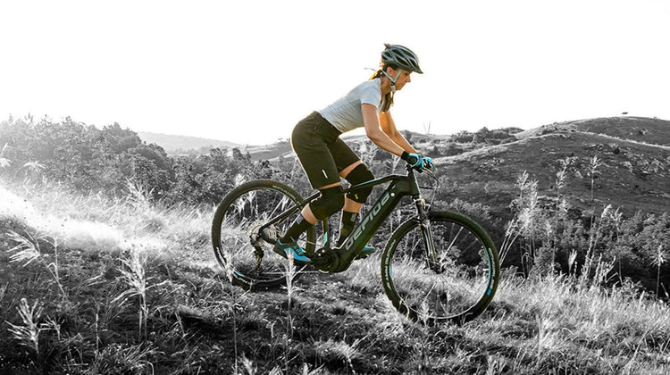 Gepida Electric Bikes