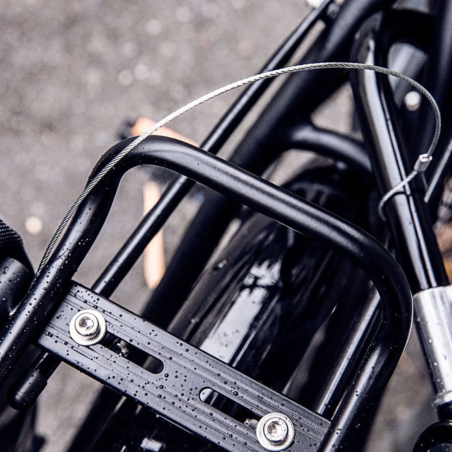 Ortlieb Anti-Theft-Device