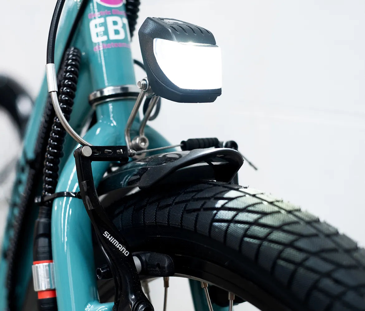 eZee Carro electric trike