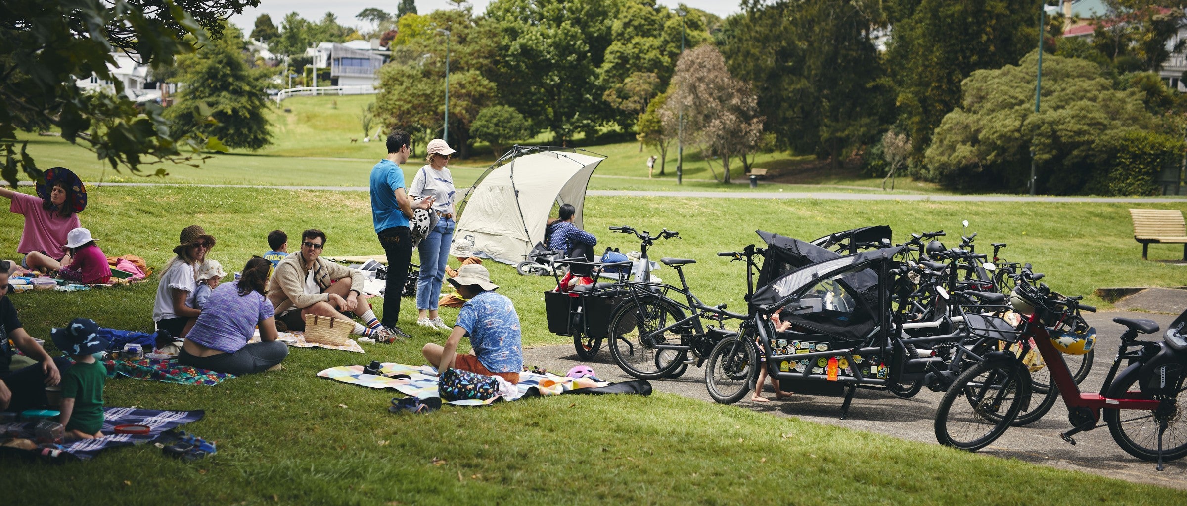 EBT customers and their cargo bikes gathering in grey lynn park for a cargo bike picnic