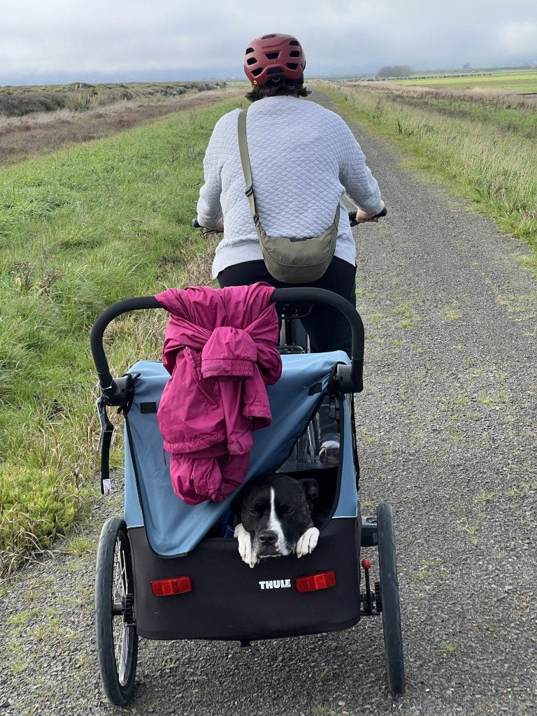 Thule Courier Dog Trailer Kit