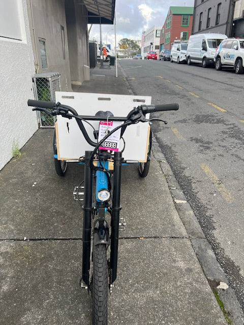 Radkutsche Musketeer Cargo Logistics Trike - Used