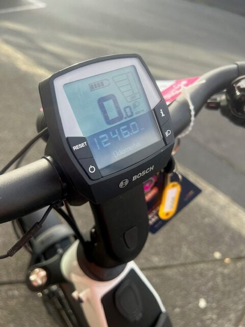 Riese and Muller Nevo 3 Touring 9N56