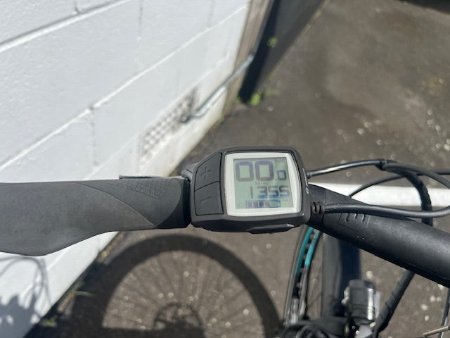 Gepida Berig 2020 - 43cm - used