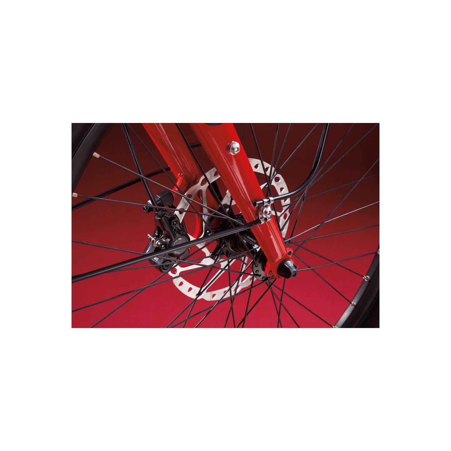 Benno Boost E 10D Sport